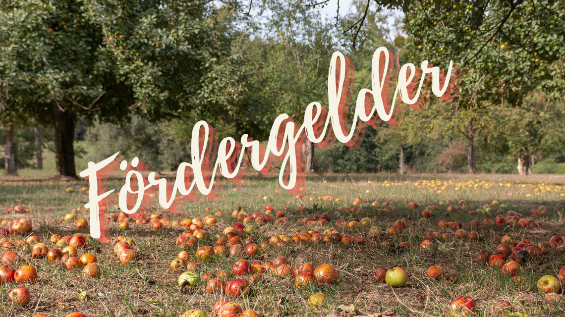 Fördergelder für Streuobstwiesen