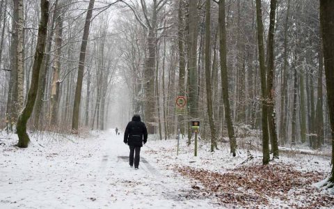 La Niña: Weiße Weihnachten?