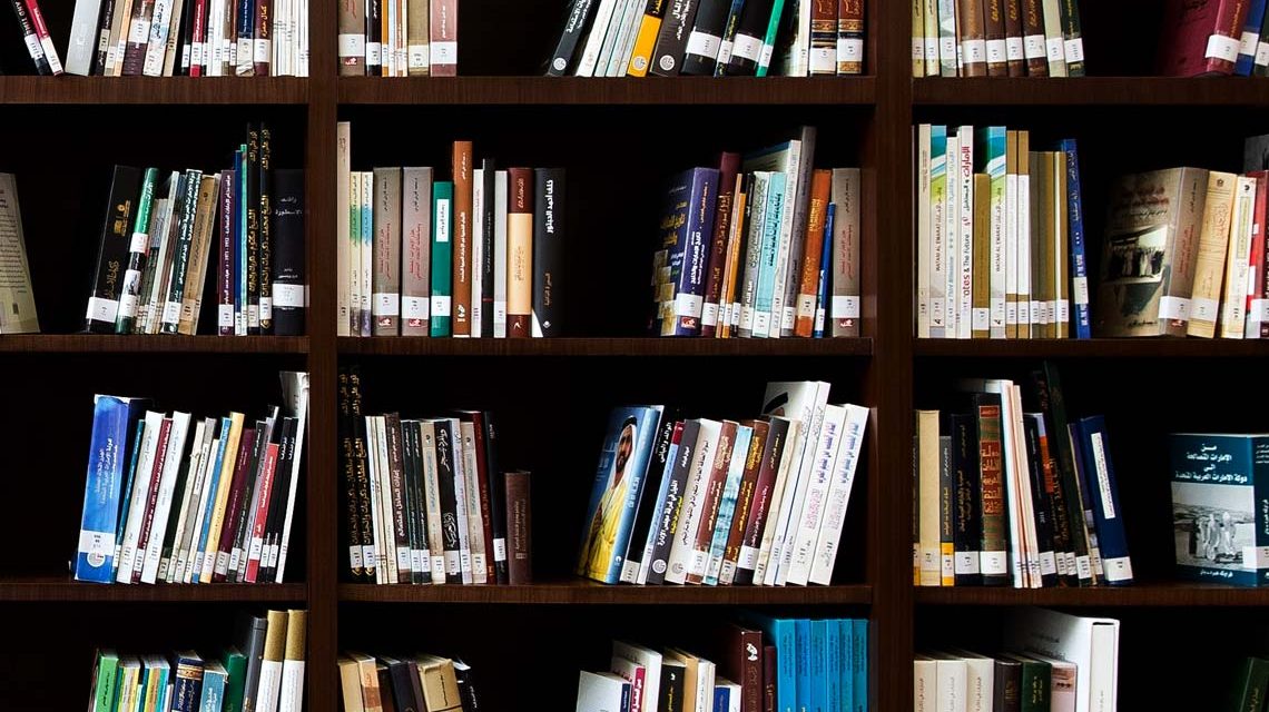 Bibliotheksausweis, Stadtbibliothek, Kostenloser Testzugang zum Online-Angebot der Stadtbibliotheken für drei Monate, Osterferien.