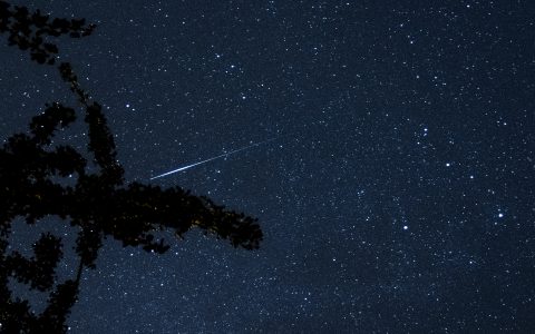 Die Perseiden bieten ihr jährliches Himmelsspektakel. Quelle: WetterOnline