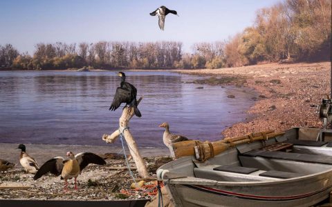 Vom Wert des Wassers Alles im Fluss? Führung durch die Ausstellung!