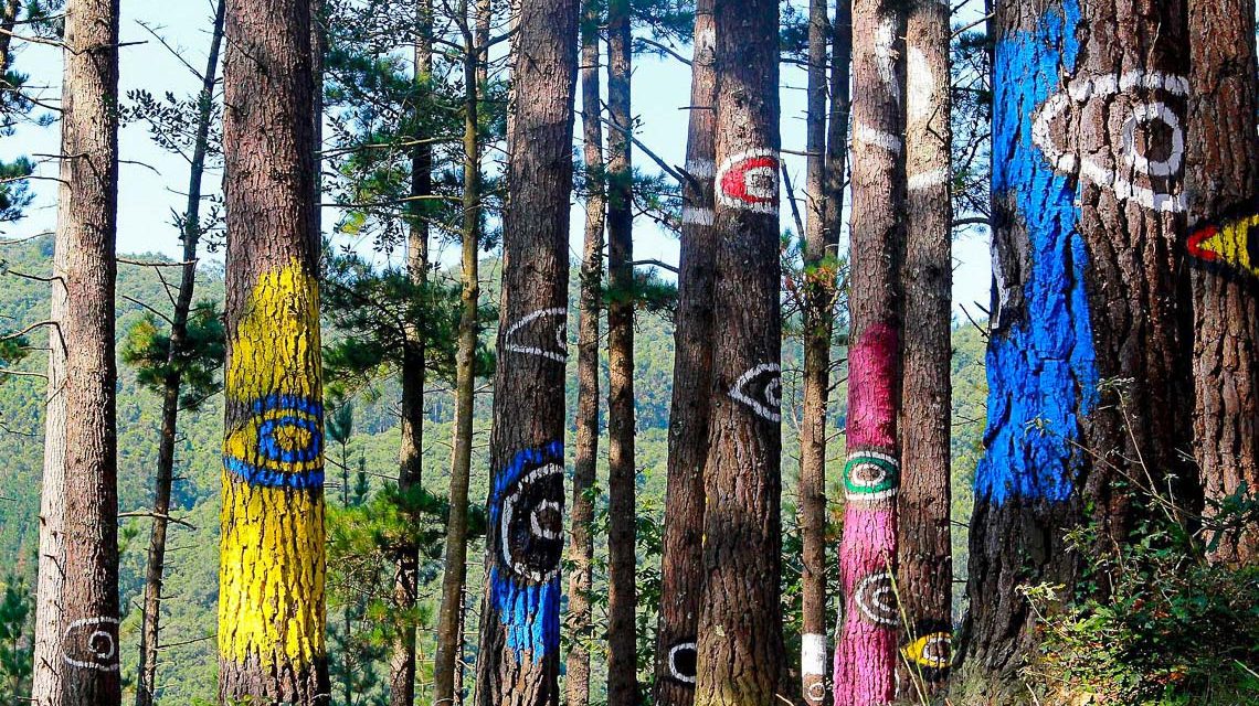 Mensch-Natur-Kultur im Goldsteintal