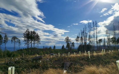 Wiesbaden braucht die Windenergie auf dem Taunuskamm – Energiewende auch vor Ort umsetzen!