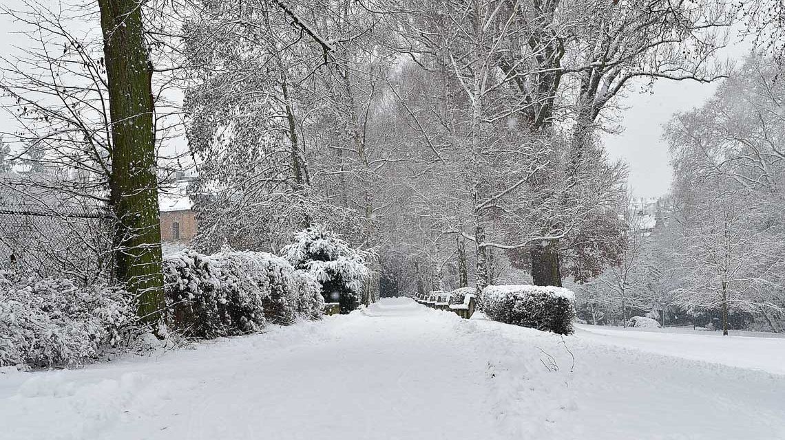 Winterblues in Wiesbaden, Weiße Weihnachten?