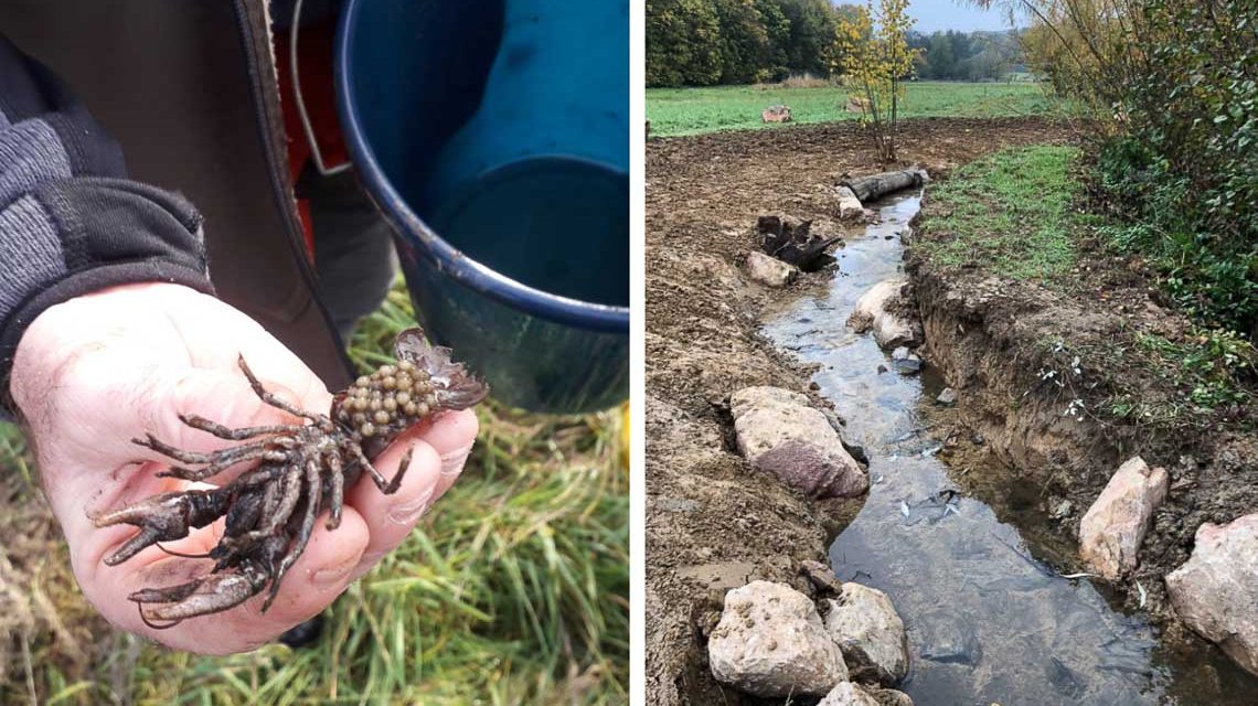 740.000 Euro Fördergelder für Renaturierung und Hochwasserschutz