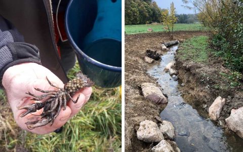 740.000 Euro Fördergelder für Renaturierung und Hochwasserschutz