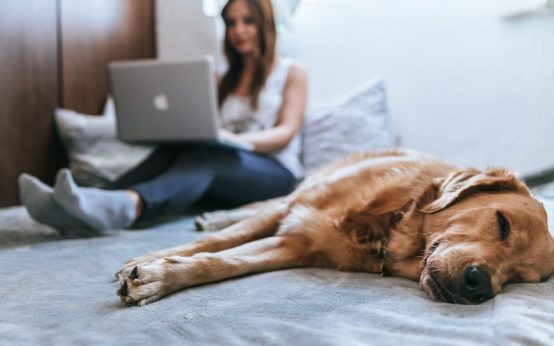 Frau sitzt auf dem Sofa und kauft ein.