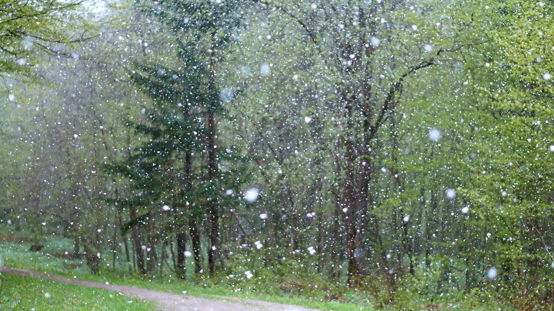 Regen, Schnee und Schnee-Regen