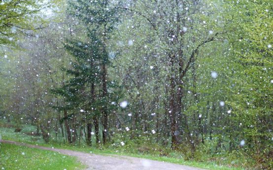 Regen, Schnee und Schnee-Regen