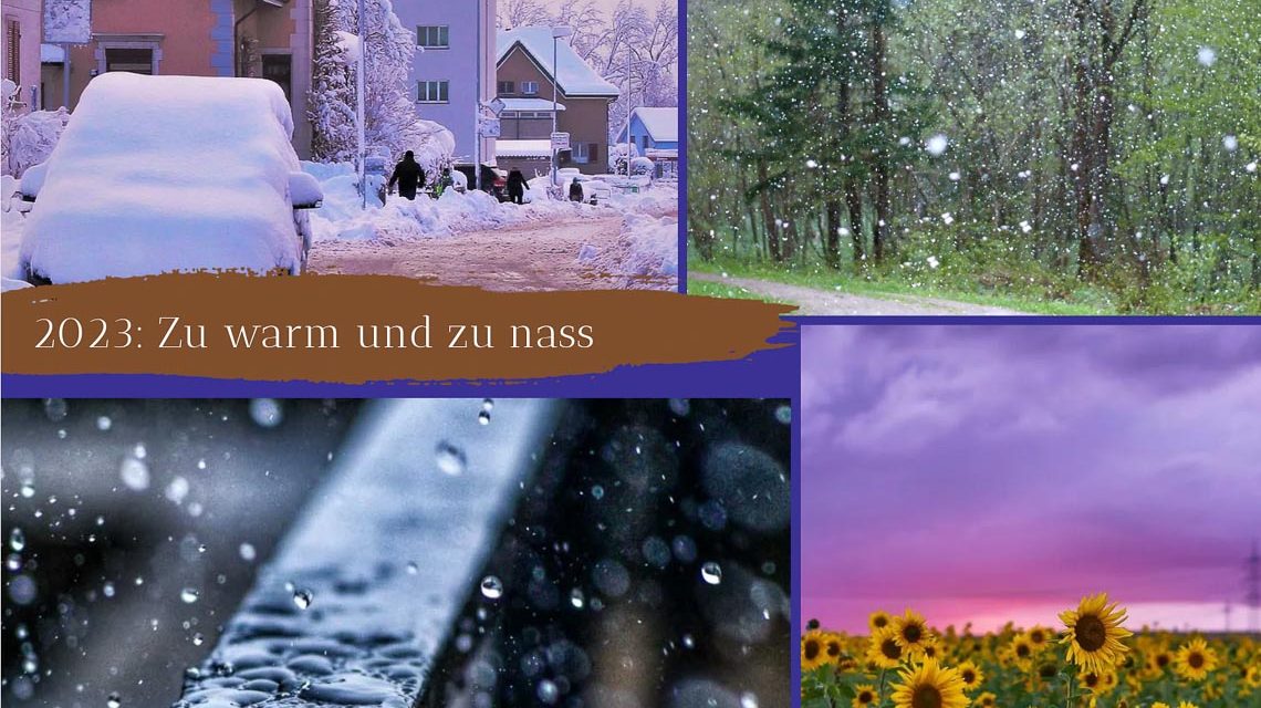 Jahresrückblick, Das Wetter mit extremen
