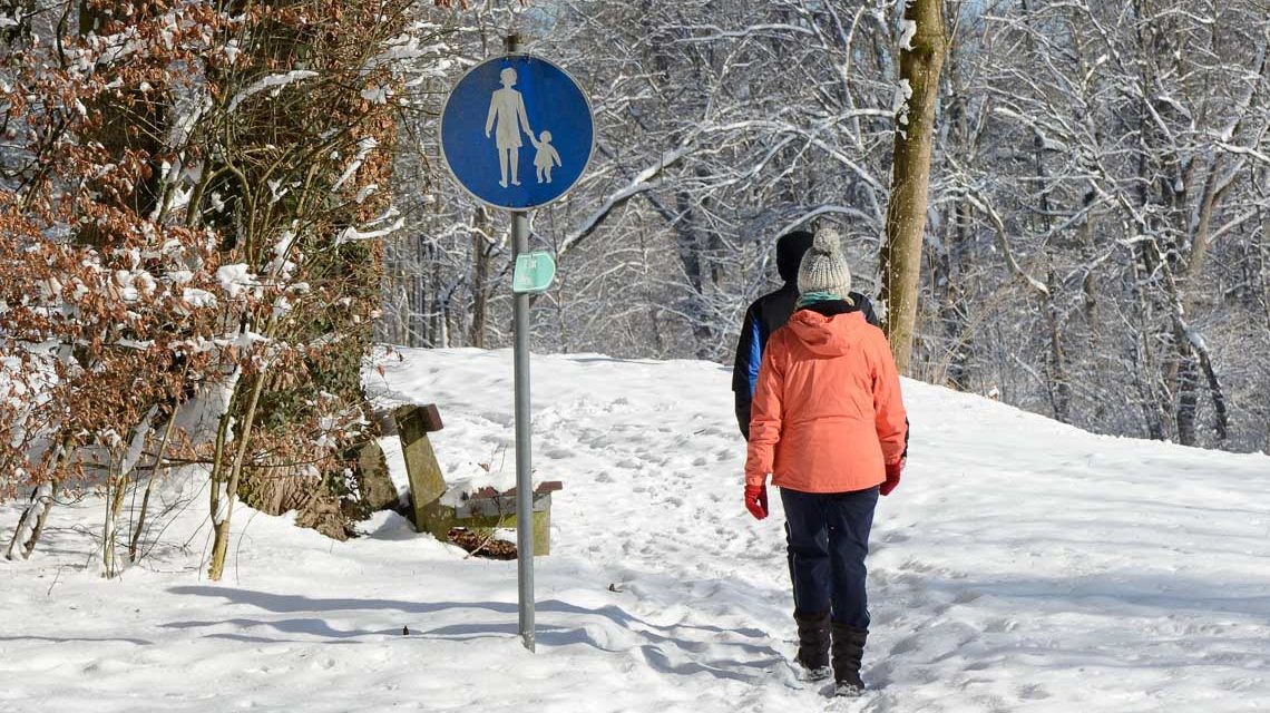 Winterspaziergang durch Gehölz, über Felder ... über Schnee