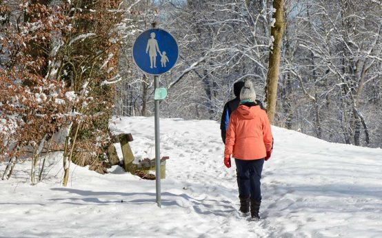 Winterspaziergang durch Gehölz, über Felder ... über Schnee