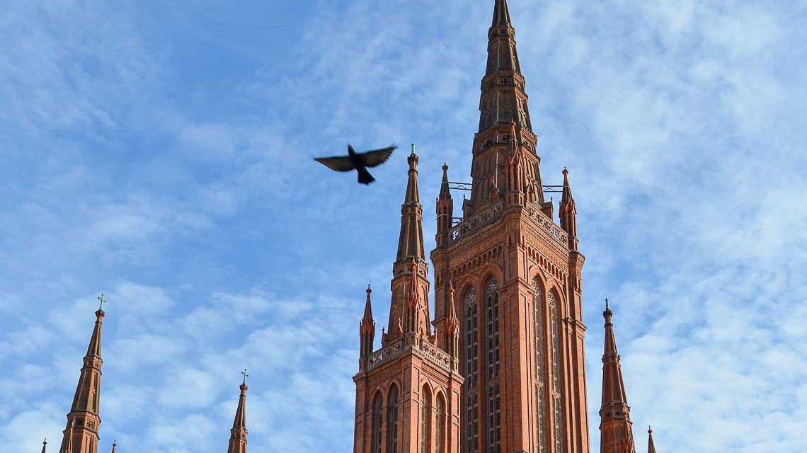Turm der Marktkirche und Taube fliegt