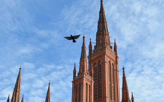 Turm der Marktkirche und Taube fliegt