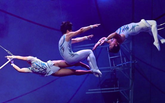 Circus Barelli verlängert