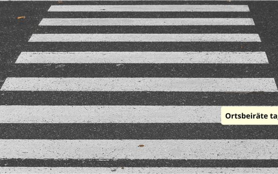 Ortsbeirat tagt, Thema Zebrastreifen.