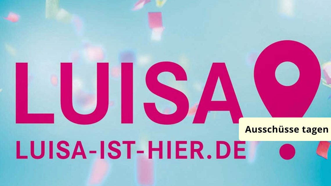 Luisa ist hier, Thema in den Ausschüssen