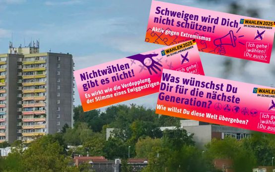 Schelmengrabener Erklärung