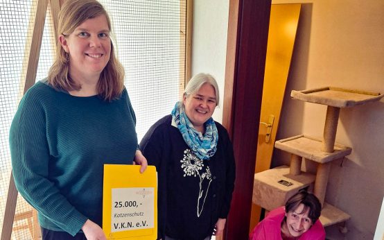 v.l.n.r.: Milena Löbcke, Susanne Tobin (1. Vorsitzende VKN), Edda Ott (2. Vorsitzende VKN) und Pflegekater „Der Rote“.