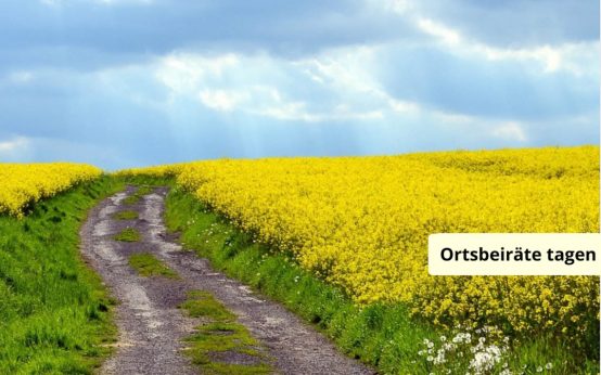 Ortsbeiräte: Feldweg, Friedhof, Fahrrad, Finanzmittel: Bürger reden mit