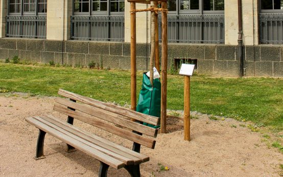 Klimabaum für den Südfriedhof.